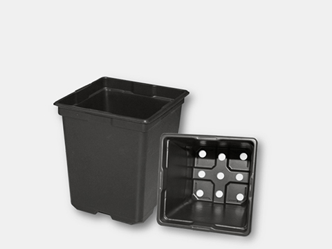 700099C - 5.5-Inch 2-Quart Square Deep Pots | T.O. Plastics